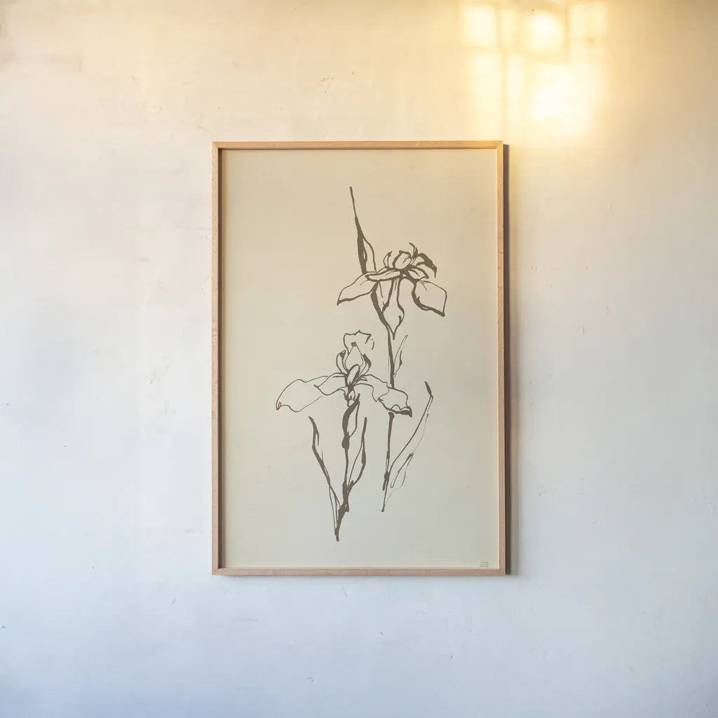 Vintage Line Iris II by Chris Paschke. shown as a paper print in a natural frame. Available as a archival giclee rolled canvas, fine art paper, or poster print. SKU 78814h.