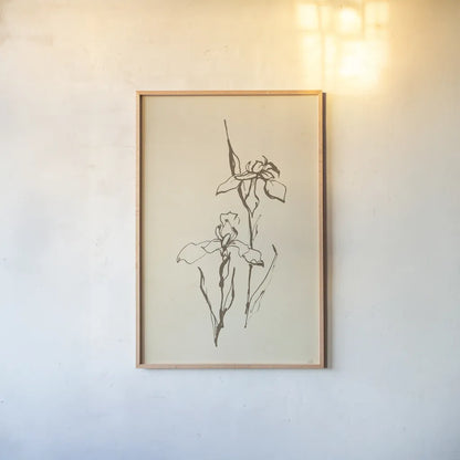 Vintage Line Iris II by Chris Paschke. shown as a paper print in a natural frame. Available as a archival giclee rolled canvas, fine art paper, or poster print. SKU 78814h.