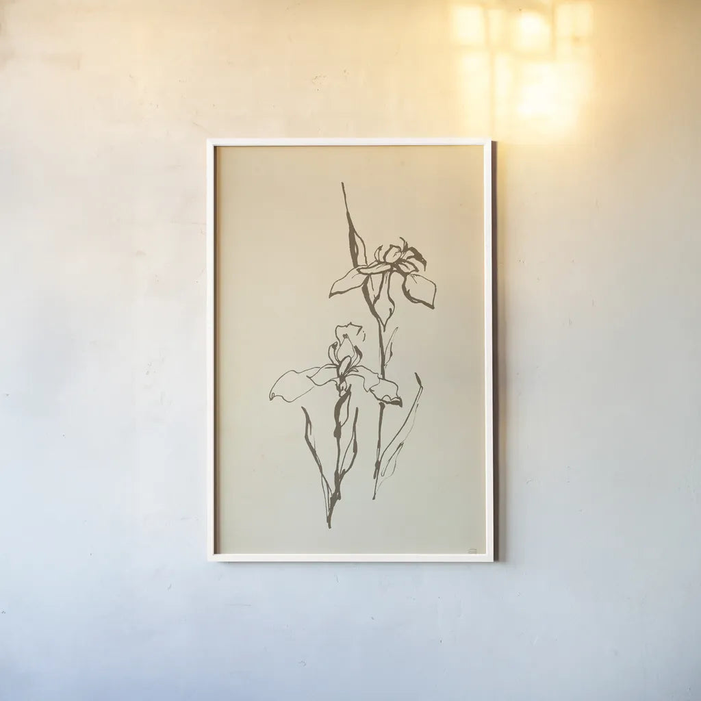 Vintage Line Iris II by Chris Paschke. shown as a paper print in a white frame. Available as a archival giclee rolled canvas, fine art paper, or poster print. SKU 78814h.