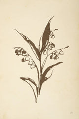 Vintage Line Lily of the Valley I by Chris Paschke. SKU 78813h. Archival Giclee Fine art print for wall decor.