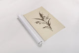 Vintage Line Lily of the Valley I by Chris Paschke. shown as a rolled paper print. Available as archival giclee rolled canvas, fine art paper, or poster print. SKU 78813h.