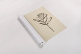 Vintage Line Protea I by Chris Paschke. shown as a rolled paper print. Available as archival giclee rolled canvas, fine art paper, or poster print. SKU 78812h.