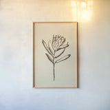 Vintage Line Protea I by Chris Paschke. shown as a paper print in a natural frame. Available as a archival giclee rolled canvas, fine art paper, or poster print. SKU 78812h.