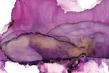 Violet by Chris Paschke. SKU 65425i. Archival Giclee Fine art print for wall decor.