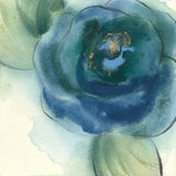 Wannabe Poppies I by Chris Paschke. SKU 34715a. Archival Giclee Fine art print for wall decor.