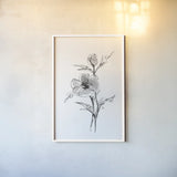 Wash Anemone I by Chris Paschke. shown as a paper print in a white frame. Available as a archival giclee rolled canvas, fine art paper, or poster print. SKU 65444h.