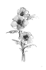 Wash Anemone II by Chris Paschke. SKU 65445h. Archival Giclee Fine art print for wall decor.