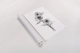 Wash Anemone II by Chris Paschke. shown as a rolled paper print. Available as archival giclee rolled canvas, fine art paper, or poster print. SKU 65445h.
