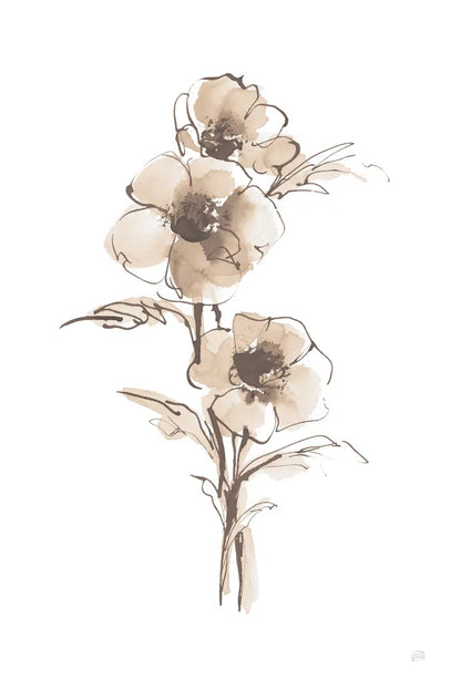 Wash Anemone II Neutral by Chris Paschke. SKU 77183h. Archival Giclee Fine art print for wall decor.