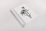 Wash Echinacea I by Chris Paschke. shown as a rolled paper print. Available as archival giclee rolled canvas, fine art paper, or poster print. SKU 65446h.
