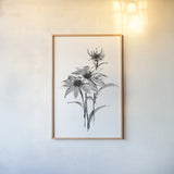 Wash Echinacea I by Chris Paschke. shown as a paper print in a natural frame. Available as a archival giclee rolled canvas, fine art paper, or poster print. SKU 65446h.