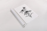 Wash Echinacea II by Chris Paschke. shown as a rolled paper print. Available as archival giclee rolled canvas, fine art paper, or poster print. SKU 65447h.