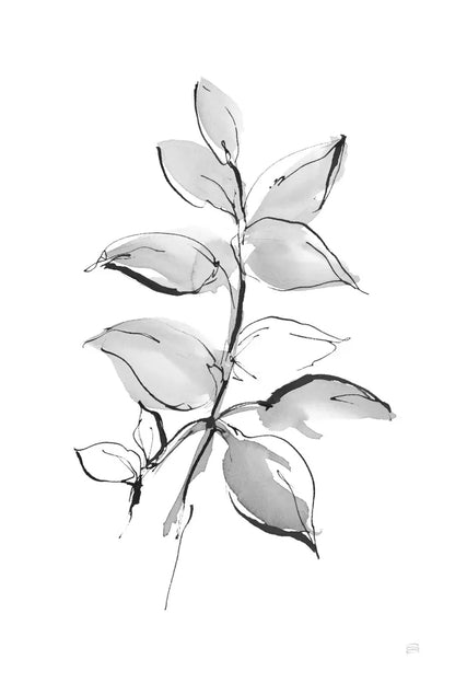 Wash Leaf I by Chris Paschke. SKU 65454h. Archival Giclee Fine art print for wall decor.