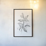 Wash Leaf I by Chris Paschke. shown as a paper print in a black flame. Available as a archival giclee rolled canvas, fine art paper, or poster print. SKU 65454h.