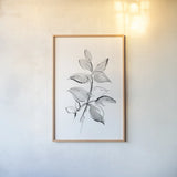 Wash Leaf I by Chris Paschke. shown as a paper print in a natural frame. Available as a archival giclee rolled canvas, fine art paper, or poster print. SKU 65454h.