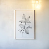 Wash Leaf I by Chris Paschke. shown as a paper print in a white frame. Available as a archival giclee rolled canvas, fine art paper, or poster print. SKU 65454h.