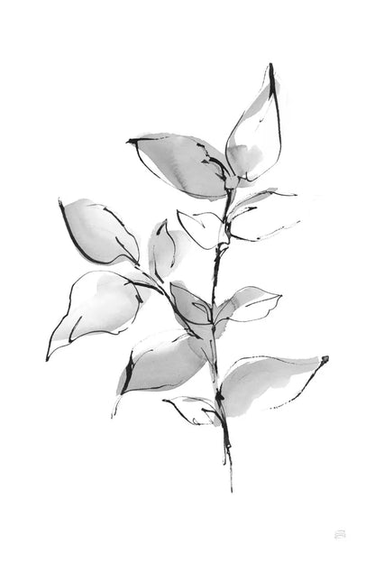 Wash Leaf II by Chris Paschke. SKU 65455h. Archival Giclee Fine art print for wall decor.