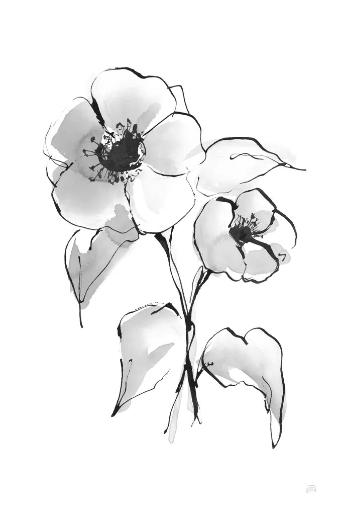 Wash Poppy I by Chris Paschke. SKU 65448h. Archival Giclee Fine art print for wall decor.