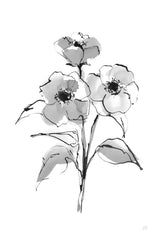 Wash Poppy II by Chris Paschke. SKU 65449h. Archival Giclee Fine art print for wall decor.