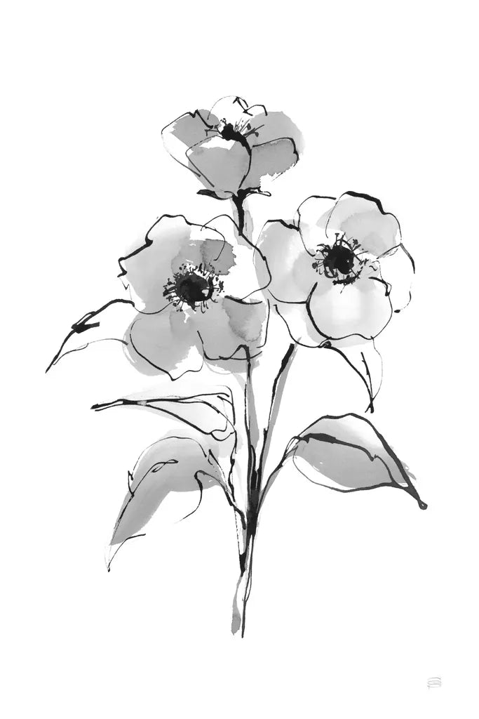 Wash Poppy II by Chris Paschke. SKU 65449h. Archival Giclee Fine art print for wall decor.