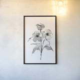 Wash Poppy II by Chris Paschke. shown as a paper print in a black flame. Available as a archival giclee rolled canvas, fine art paper, or poster print. SKU 65449h.
