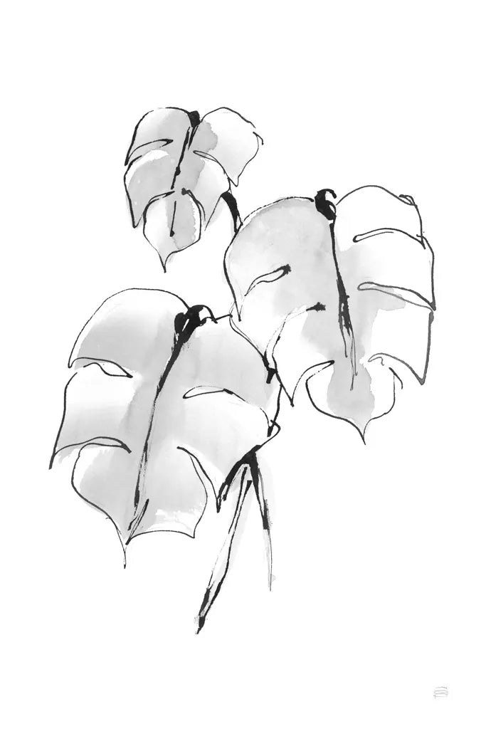 Wash Split Leaf I by Chris Paschke. SKU 65452h. Archival Giclee Fine art print for wall decor.