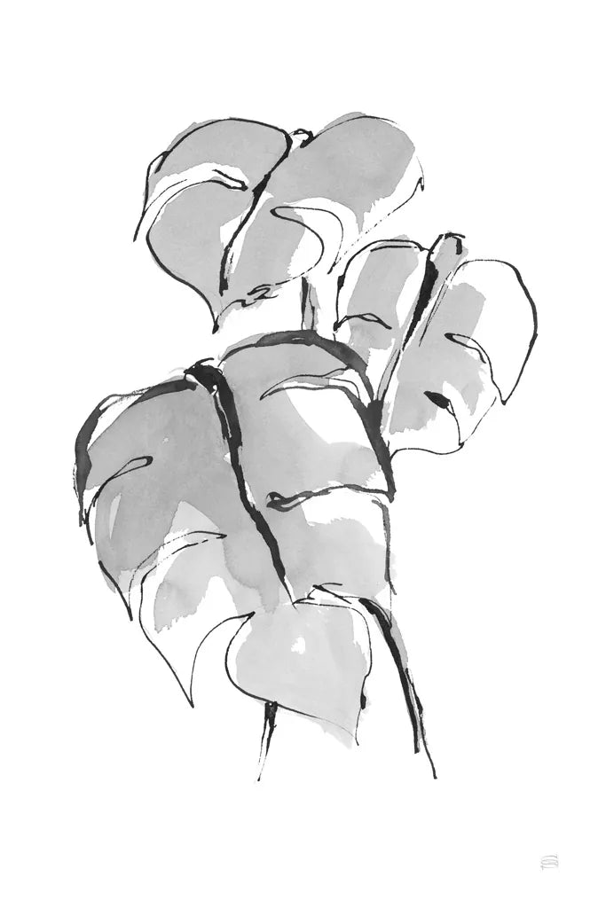 Wash Split Leaf II by Chris Paschke. SKU 65453h. Archival Giclee Fine art print for wall decor.