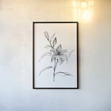 Wash Tiger Lily by Chris Paschke. shown as a paper print in a black flame. Available as a archival giclee rolled canvas, fine art paper, or poster print. SKU 65450h.