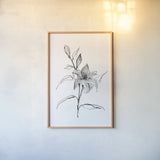 Wash Tiger Lily by Chris Paschke. shown as a paper print in a natural frame. Available as a archival giclee rolled canvas, fine art paper, or poster print. SKU 65450h.