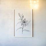Wash Tiger Lily by Chris Paschke. shown as a paper print in a white frame. Available as a archival giclee rolled canvas, fine art paper, or poster print. SKU 65450h.