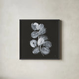 White Eucalyptus I by Chris Paschke. Shown in a sleek black glass frame for a contemporary gallery look. Available as an archival giclee rolled canvas, fine art paper, or poster print. SKU 73087a.