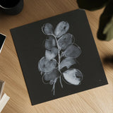 White Eucalyptus II by Chris Paschke. Shown as a detailed flat fine art print, highlighting archival giclee quality. Available as an archival giclee rolled canvas, fine art paper, or poster print. SKU 73088a.