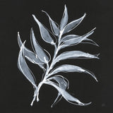 White Fern I by Chris Paschke. SKU 73069a. Archival Giclee Fine art print for wall decor.