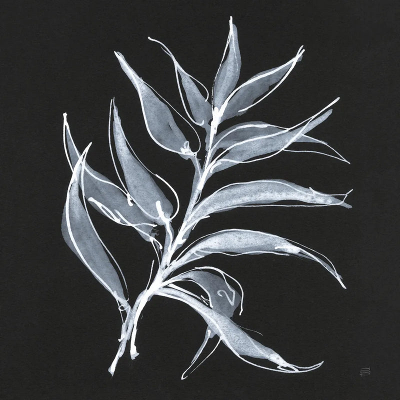 White Fern I by Chris Paschke. SKU 73069a. Archival Giclee Fine art print for wall decor.