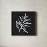 White Fern I by Chris Paschke. Shown in a sleek black glass frame for a contemporary gallery look. Available as an archival giclee rolled canvas, fine art paper, or poster print. SKU 73069a.