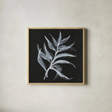 White Fern I by Chris Paschke. Shown in a natural wood glass frame for a timeless modern aesthetic. Available as an archival giclee rolled canvas, fine art paper, or poster print. SKU 73069a.