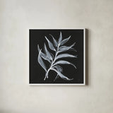 White Fern I by Chris Paschke. Shown in a crisp white glass frame for a clean and minimalist style. Available as an archival giclee rolled canvas, fine art paper, or poster print. SKU 73069a.