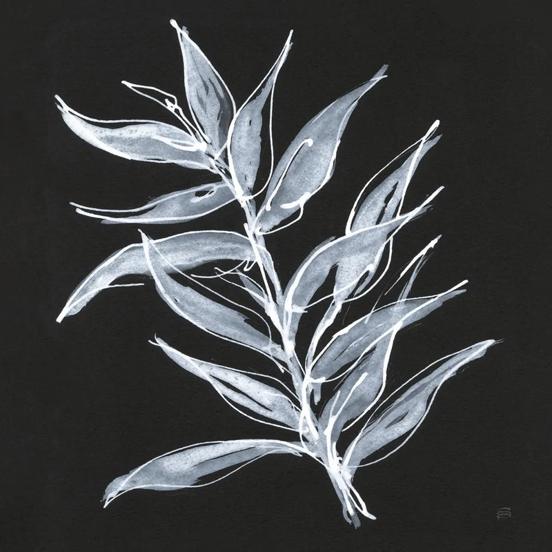 White Fern II by Chris Paschke. SKU 73070a. Archival Giclee Fine art print for wall decor.