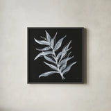 White Fern II by Chris Paschke. Shown in a sleek black glass frame for a contemporary gallery look. Available as an archival giclee rolled canvas, fine art paper, or poster print. SKU 73070a.