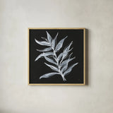 White Fern II by Chris Paschke. Shown in a natural wood glass frame for a timeless modern aesthetic. Available as an archival giclee rolled canvas, fine art paper, or poster print. SKU 73070a.
