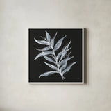 White Fern II by Chris Paschke. Shown in a crisp white glass frame for a clean and minimalist style. Available as an archival giclee rolled canvas, fine art paper, or poster print. SKU 73070a.