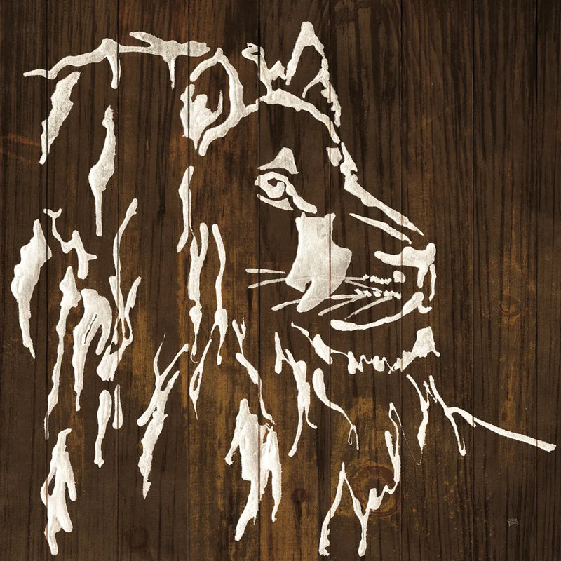 White Lion on Dark Wood by Chris Paschke. SKU 50037a. Archival Giclee Fine art print for wall decor.