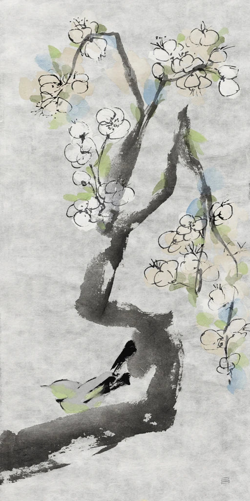 White Plum I by Chris Paschke
