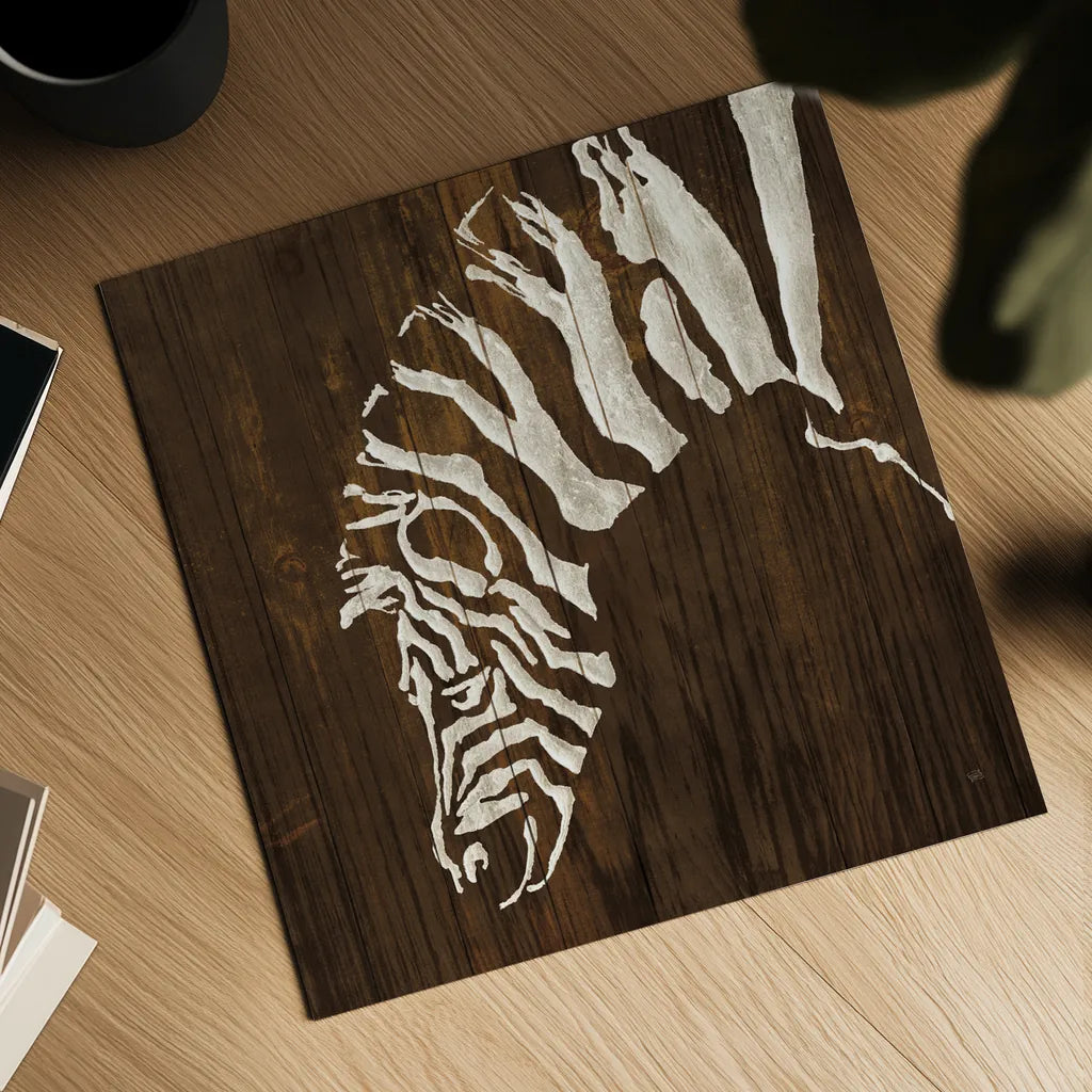 White Zebra on Dark Wood by Chris Paschke. Shown as a detailed flat fine art print, highlighting archival giclee quality. Available as an archival giclee rolled canvas, fine art paper, or poster print. SKU 50039a.