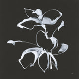 Wildflowers III by Chris Paschke. SKU 73091a. Archival Giclee Fine art print for wall decor.