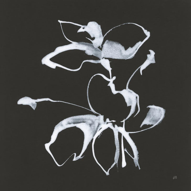 Wildflowers III by Chris Paschke. SKU 73091a. Archival Giclee Fine art print for wall decor.