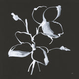 Wildflowers IV by Chris Paschke. SKU 73092a. Archival Giclee Fine art print for wall decor.