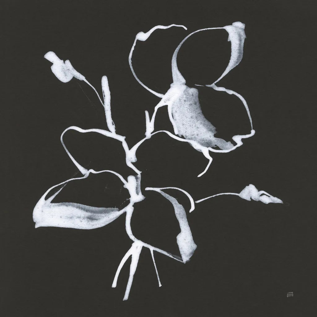 Wildflowers IV by Chris Paschke. SKU 73092a. Archival Giclee Fine art print for wall decor.