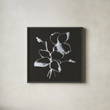 Wildflowers IV by Chris Paschke. Shown in a sleek black glass frame for a contemporary gallery look. Available as an archival giclee rolled canvas, fine art paper, or poster print. SKU 73092a.