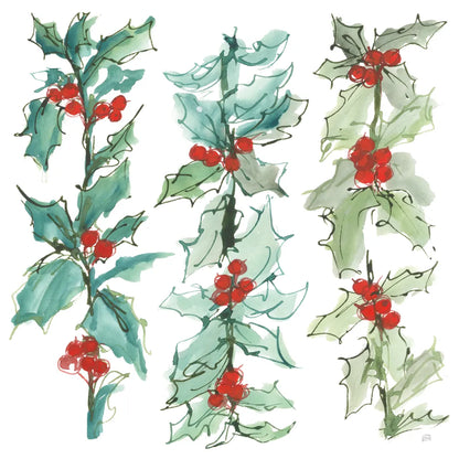 Winter Green Holly II by Chris Paschke. SKU 83117a. Archival Giclee Fine art print for wall decor.